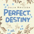 Dla dzieci i młodzieży: Perfect Destiny - audiobook