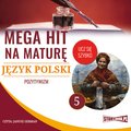 Naukowe i akademickie: Mega hit na maturę. Język polski 5. Pozytywizm - audiobook