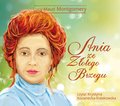 Dla dzieci i młodzieży: Ania ze zlotego brzegu - audiobook