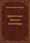 Raptularz pana Mateusza Jasienieckiego - ebook