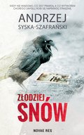 Kryminał, sensacja, thriller: Złodziej snów - ebook