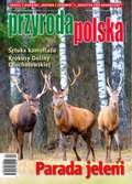 hobby, sport, rozrywka: Przyroda Polska – e-wydanie – 4/2024