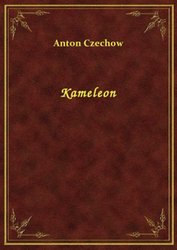 : Kameleon - ebook
